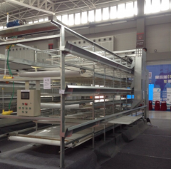 H Type Broiler Cages