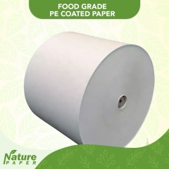 Nature paper food grade greaseproof paper roll size