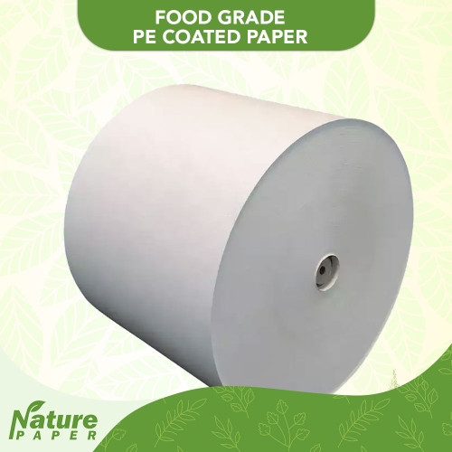 Food Grade PE Coated Paper