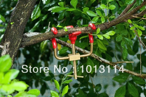 Bonsai Branch Bender Exceptional Wonderful Gyrate Installation Brass Material Made By Tian Bonsai Tools