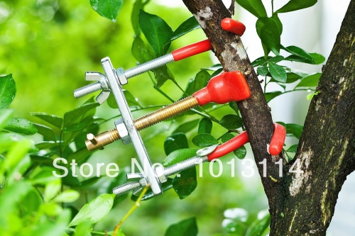 Bonsai Branch Bender Exceptional Wonderful Gyrate Installation Made By Tian Bonsai Tools