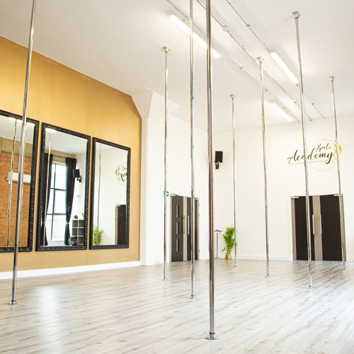 Build-a-Pole For Studios (NX model, screw lock)
