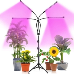 LED Grow Lights for Indoor Plants with 60" Stand Tripod, 80W Remote Control Plant Light Timing 4h/8h/12h, Full Spectrum/Blue/Red, Grow Lights for Seed Starting, 10 Dimming Levels Plant Growing Lamps