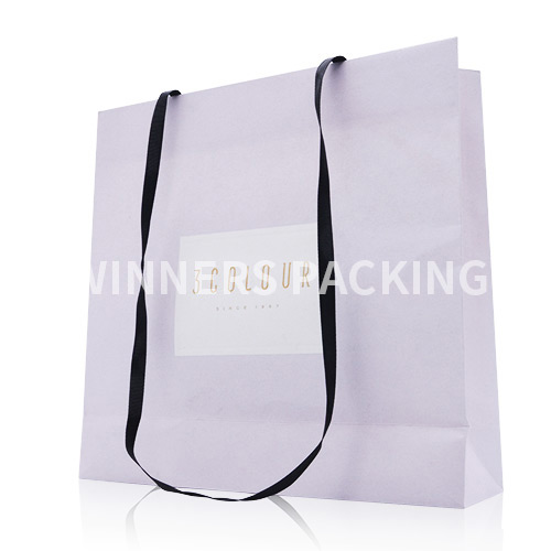 Cheap Customized Shopping Paper Bag/Gift Bag