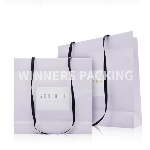 Cheap Customized Shopping Paper Bag/Gift Bag