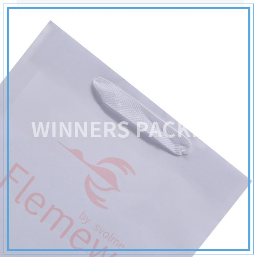 Fashion style custom logo paper shopping bag