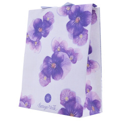 Custom Logo printed shopping gift paper bag