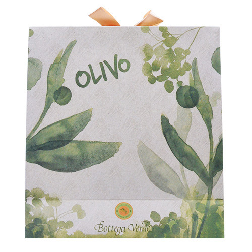 CUSTOM FANCY GIFT PAPER BAG LUXURY PAPER GIFT BAG