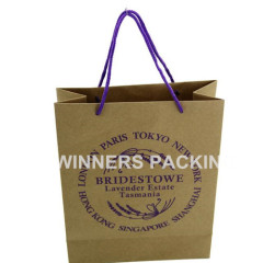 Factory Price Custom Printed Brown Kraft Paper Bag for Gift