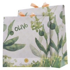 CUSTOM FANCY GIFT PAPER BAG LUXURY PAPER GIFT BAG