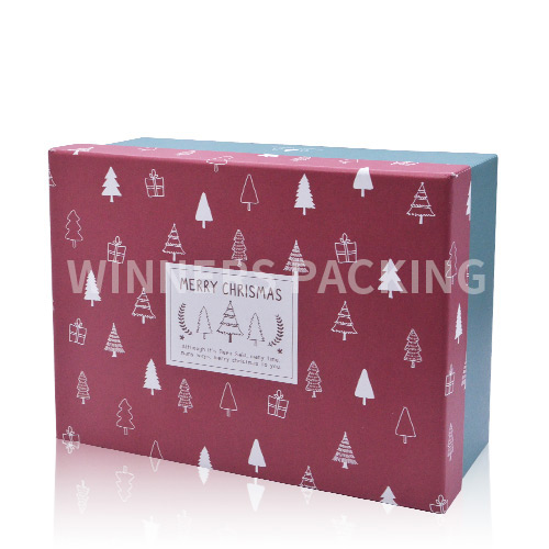 Luxury Design Printed Packaging Boxes Custom Logo/Paper Gift Box