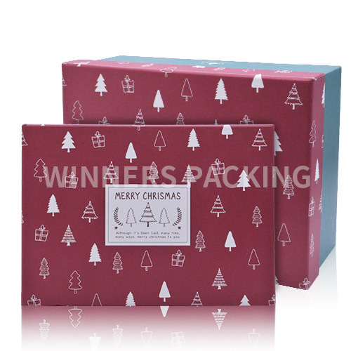 Luxury Design Printed Packaging Boxes Custom Logo/Paper Gift Box