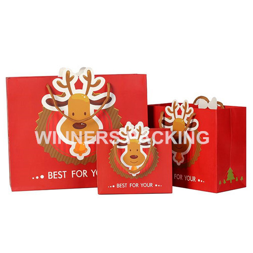 Professional supplier christmas paper bag