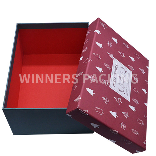 Luxury Design Printed Packaging Boxes Custom Logo/Paper Gift Box