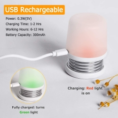 Portable LED Night Light