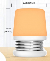 Portable LED Night Light