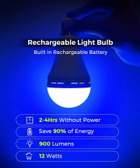 Rechargeable Bulb Blue