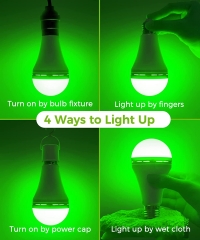 Rechargeable Bulb Green