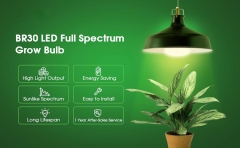 BR30 Grow Light Bulb