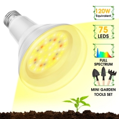 BR30 Grow Light Bulb