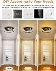 2-Light Black Flush Mount Ceiling Lamp