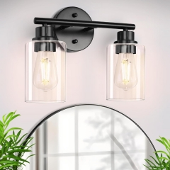 2-Light Black Bathroom Vanity Lamp