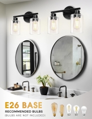 2-Light Black Bathroom Vanity Lamp