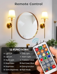 Golden Remote Control Wall Lamp