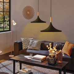 Saucer-Type Matte Black Pendant Light