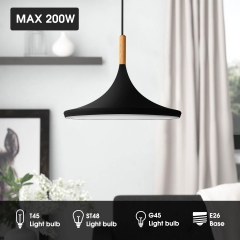 Saucer-Type Matte Black Pendant Light