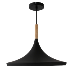 Saucer-Type Matte Black Pendant Light