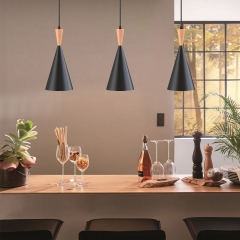 1-Light Matte Black Farmhouse Pendant Light