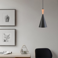 1-Light Matte Black Farmhouse Pendant Light