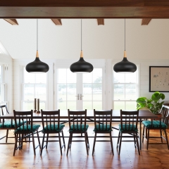 1-Light Matte Black Farmhouse Pendant Light