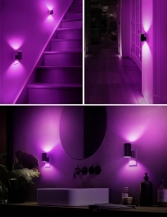 PURPLE Light Vintage LED Night Light