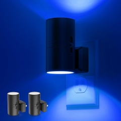 BLUE Light Vintage LED Night Light