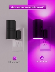 PURPLE Light Vintage LED Night Light