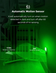 Oval Shape GREEN Motion Sensor Night Light