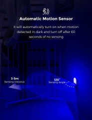 Oval Shape BLUE Motion Sensor Night Light