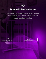 Oval Shape PURPLE Motion Sensor Night Light