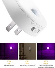 Oval Shape PURPLE Motion Sensor Night Light