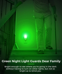 Oval Shape 30/60LM GREEN LED Night Light