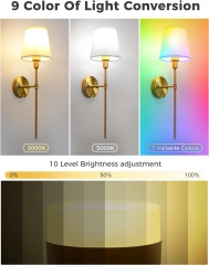 Remote Control Golden Wall Lamp Set