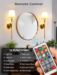 Remote Control Golden Wall Lamp Set