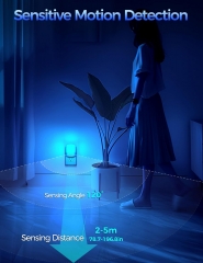 Ice Cream Shade Motion Sensor BLUE Night Light