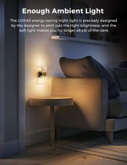 3000K Wall Sconce Night Light