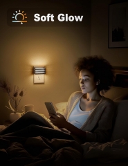 Wall Sconce Style 3000K Night Light