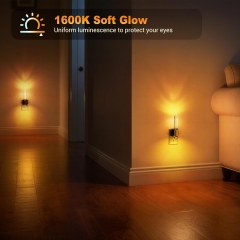 Acrylic Amber Night Light