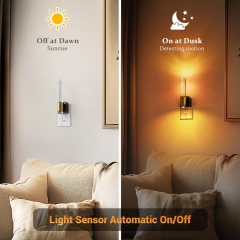 Acrylic Amber Night Light