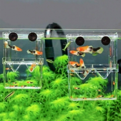 Multi-functional Aquarium Fish Isolation Box Fry Trap